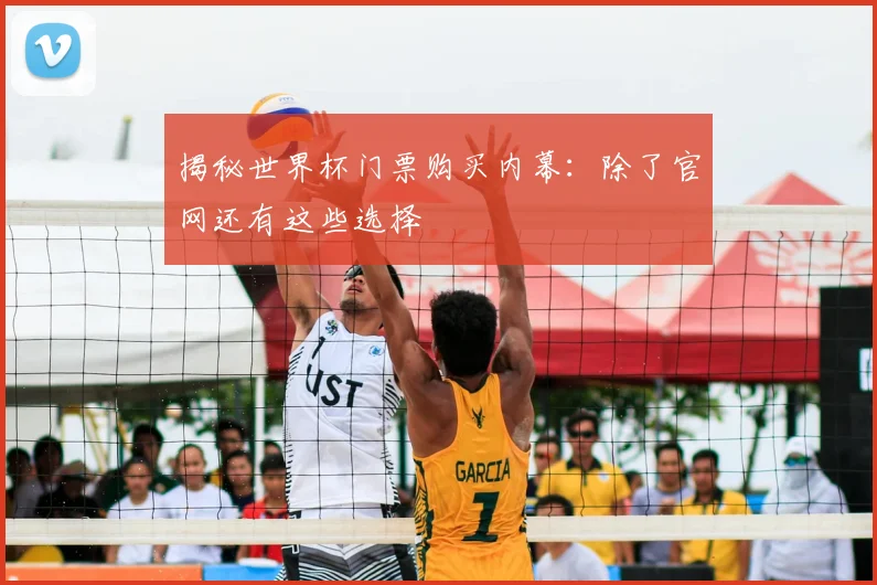 揭秘世界杯门票购买内幕:除了官网还有这些选择